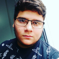 Vinicius C.