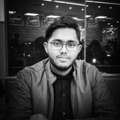 Freelancer Parikansh K.