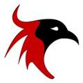 Fenix D.