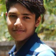 Freelancer Vinayak S. K.