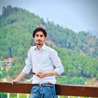 Freelancer Syed S. B.