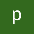 Freelancer Patel J.