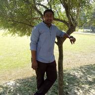 Freelancer Md. S. H.