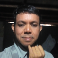 Freelancer Mr H. S.
