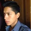 Fabricio M. S.