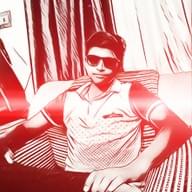 Freelancer Alok Y.