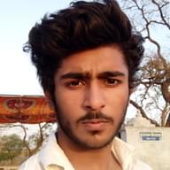 Freelancer Lakshay V.