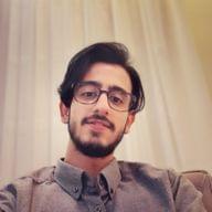 Freelancer Pourya H.
