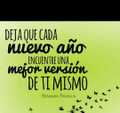Desarrollo D. N. Y. S. E.