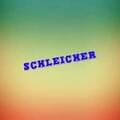 Schleicher X.