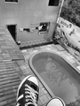 neto