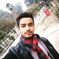 Freelancer Raja S.