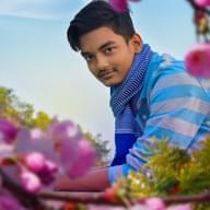Freelancer Debidutta S.