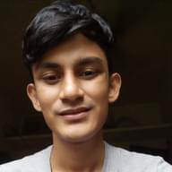Freelancer Arman H.