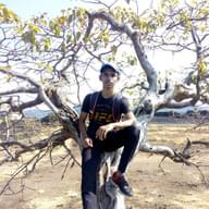 Freelancer Sarv V.