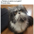 Javi G.