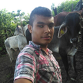 Adan