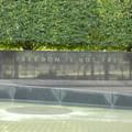 Tomás M.