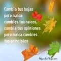 Magajo