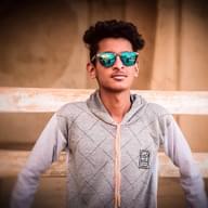Freelancer Rishi C.
