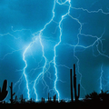 Rafael M.