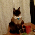 Diego L.