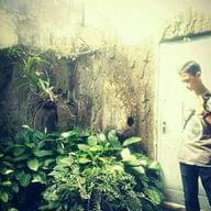 Freelancer M F. N.