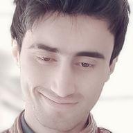 Freelancer Hassnain A.