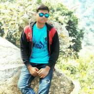 Freelancer Aditya R.