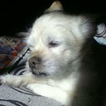 Ismael