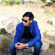Freelancer Gohil R.