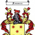 AMAURI P. F.