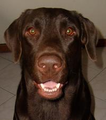 Juan D. H. G.