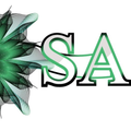 Freelancer Sadain A.