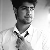 Freelancer Karan M.