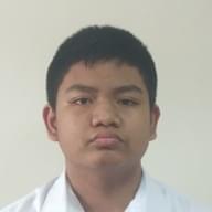 Freelancer Nicanor F. P.