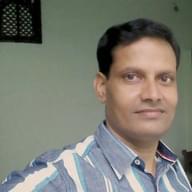 Freelancer Shatrunjaya D.