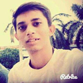 Freelancer Raj K.