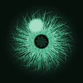 Eyetek S.