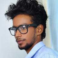 Freelancer Nitheesh H.