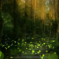 Freelancer Saurabh K.