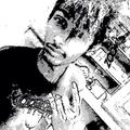 David N.
