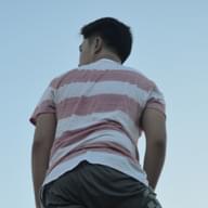 Freelancer Vince P.