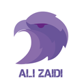 Freelancer Ali Z.