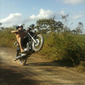 Arivan D.