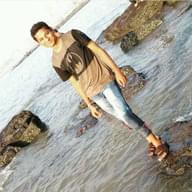 Freelancer Anirudha L.