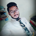 Freelancer Hamza M.