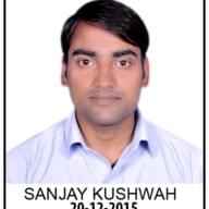 Freelancer Sanjay K.