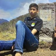 Freelancer Aldi T.