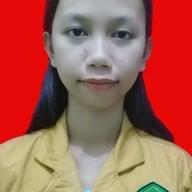 Freelancer Sri R.